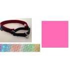 13GCH24PINKRS